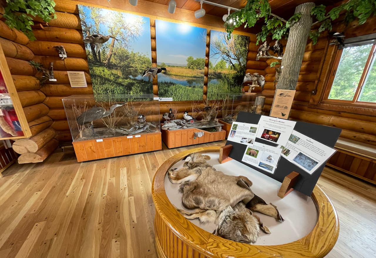 Image-For-Carson-Nature-Center-Exhibit-By-MedExec