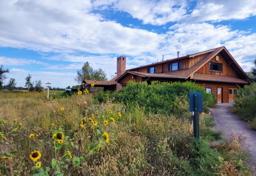 Image-For-Carson-Nature-Exhibit-By-MedExec
